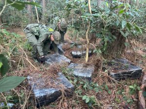 1.065, 810 kg marihuana San Ignacio (4)-800