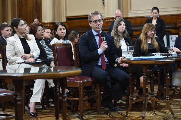 Reunion plenaria de las comisiones de Legislacion General y de Poblacion y Desarrollo Humano en el salon Illia del Senado de la Nacion; el 11 de noviembre de 2025, en Buenos Aires, Argentina. Foto: Juan Carlos Cardenas / Comunicaron Senado.