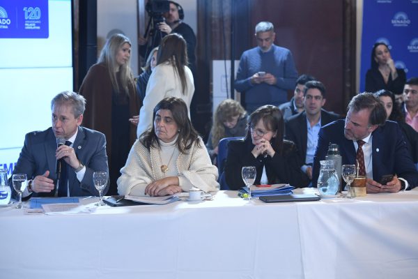 Reunin Plenaria de las Comisines de Presupuesto y Hacienda, Legislacin General y de Economas Regionales en el saln Azul del Senado de la Nacin; el 26 de agosto de 2026 en Buenos Aires, Argentina. Foto: Luciano Ingaramo / Comunicacin Senado.
