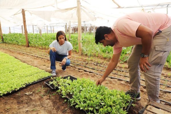 612114980_18395121442183304_5170320853747295857_n