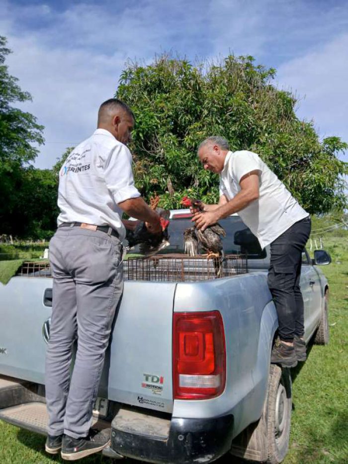 7b50ae91-0c6a-5842-864c-11a7c417ab2e-800