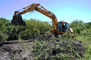 7e7f5454-4f1d-5f10-70fa-23a0152e0e6b-800