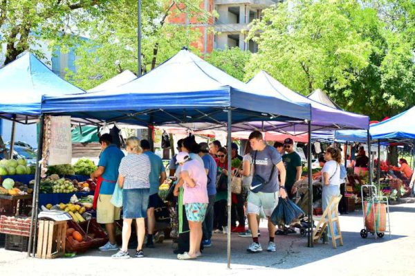 8a6690ef-255b-23ce-2d0f-63638d3ab0f0-800