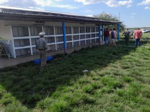 AVES DE CORRAL SECUEST (2)