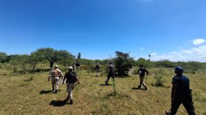 BUSQUEDA EN MERCEDES (7)