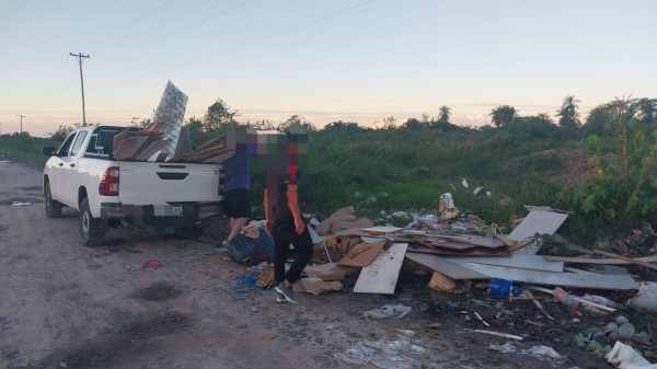 DIVISION CANES demorados (1)