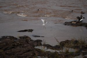 _DSC5693