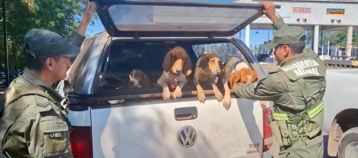 E51 rescate animales 4