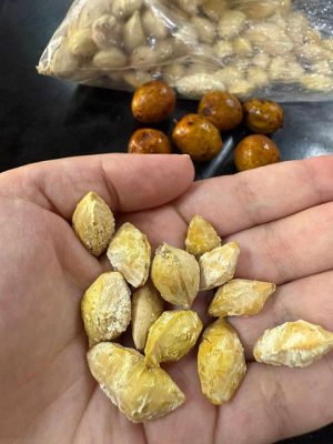 Fruto Chañar