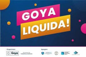 GOYA LIQUIDA