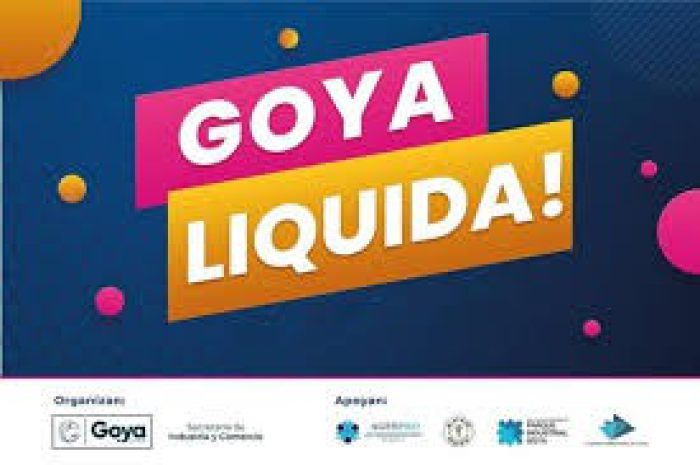 GOYA LIQUIDA