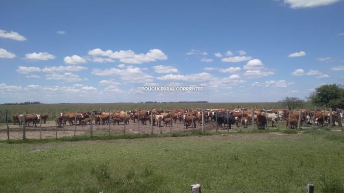 LA CRUZ allamamiento recup 59 animales (4)