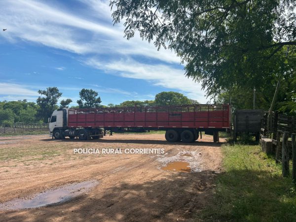 MERCEDES PRIAR camion sec (2)