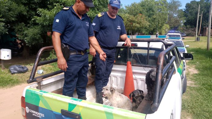 PASO DE LA PATRIA resct de perros (3)