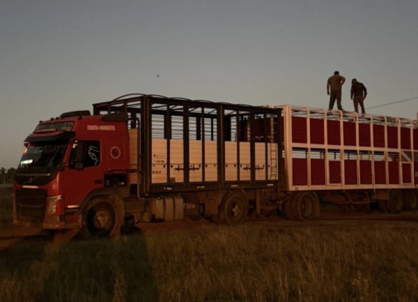 PRIAR GOYA camion y 82 animales sec (1)