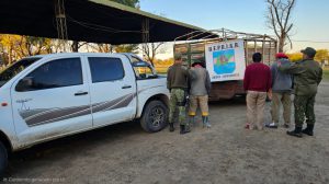 PRIAR SAUCE apreh. y sec de animales (2)