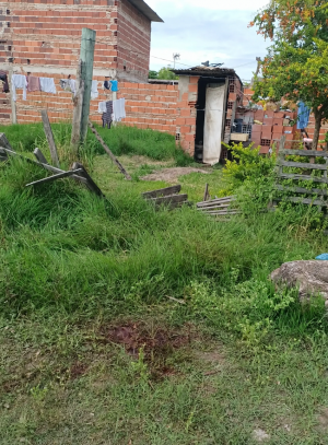 Paisaje rural con edificios y cercas