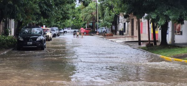 WhatsApp Image 2025-12-23 at 09.46.05