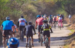 WhatsApp Image 2025-12-26 at 21.30.44