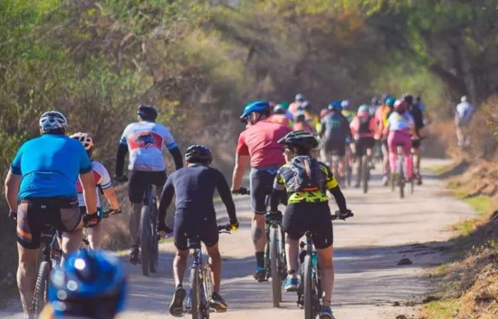 WhatsApp Image 2025-12-26 at 21.30.44