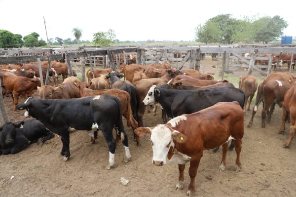 WhatsApp Image 2026-03-04 at 18.03.03 (1)