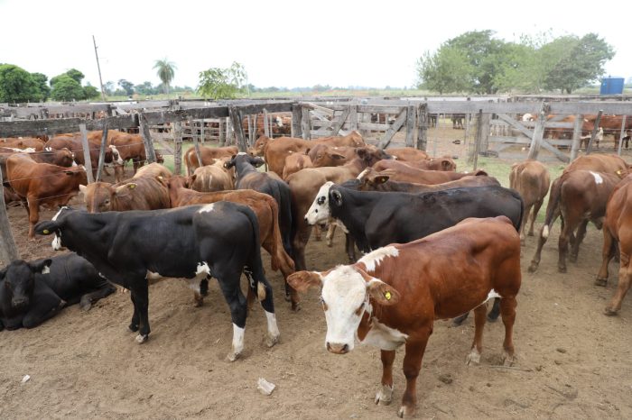 WhatsApp Image 2026-03-04 at 18.03.03