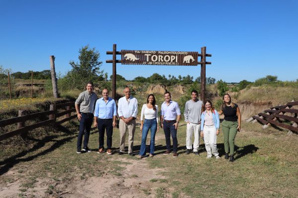 WhatsApp Image 2026-03-25 at 18.20.50 (1)