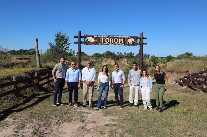 WhatsApp Image 2026-03-25 at 18.20.50 (1)