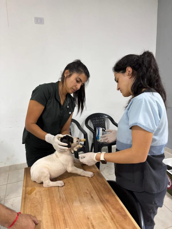 WhatsApp Image 2026-03-28 at 18.20.18 (2)