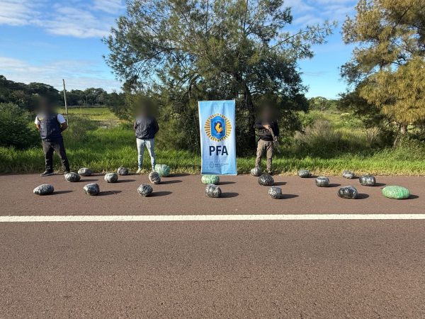 WhatsApp Image 2026-04-16 at 14.39.45