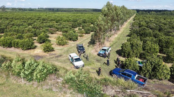 dem y camioneta secuestrada MOCORETA (1)