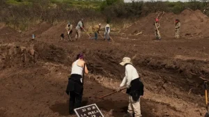 drnIrdL4dN_0x1000__detail (1)