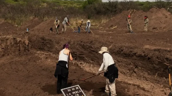 drnIrdL4dN_0x1000__detail (1)