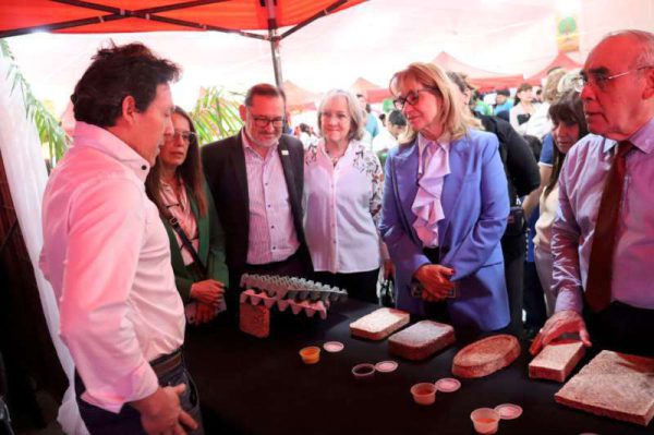 imagen-104323-800-800