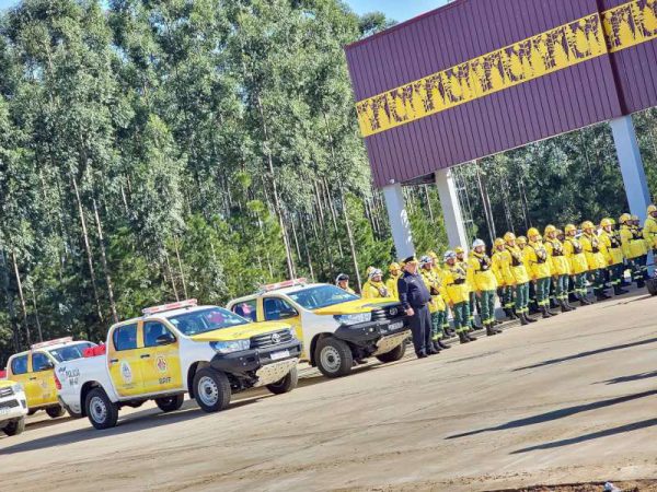 imagen-105769(1)-800