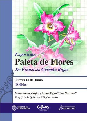 imagen-110400-800